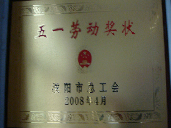 2008年五一劳动奖（濮阳市总工会）